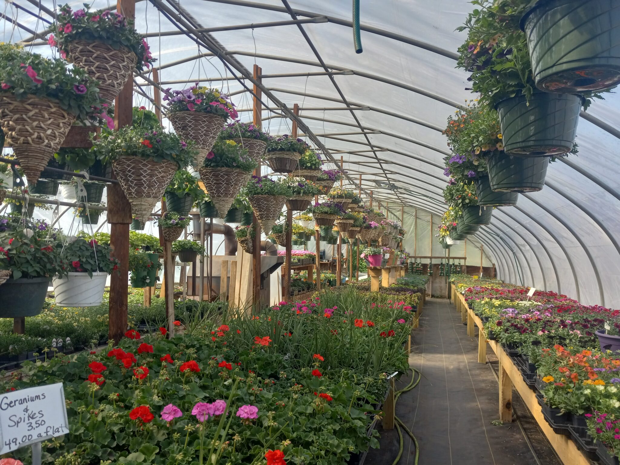 Five Great Marquette County Greenhouses | Marquette County Tourism